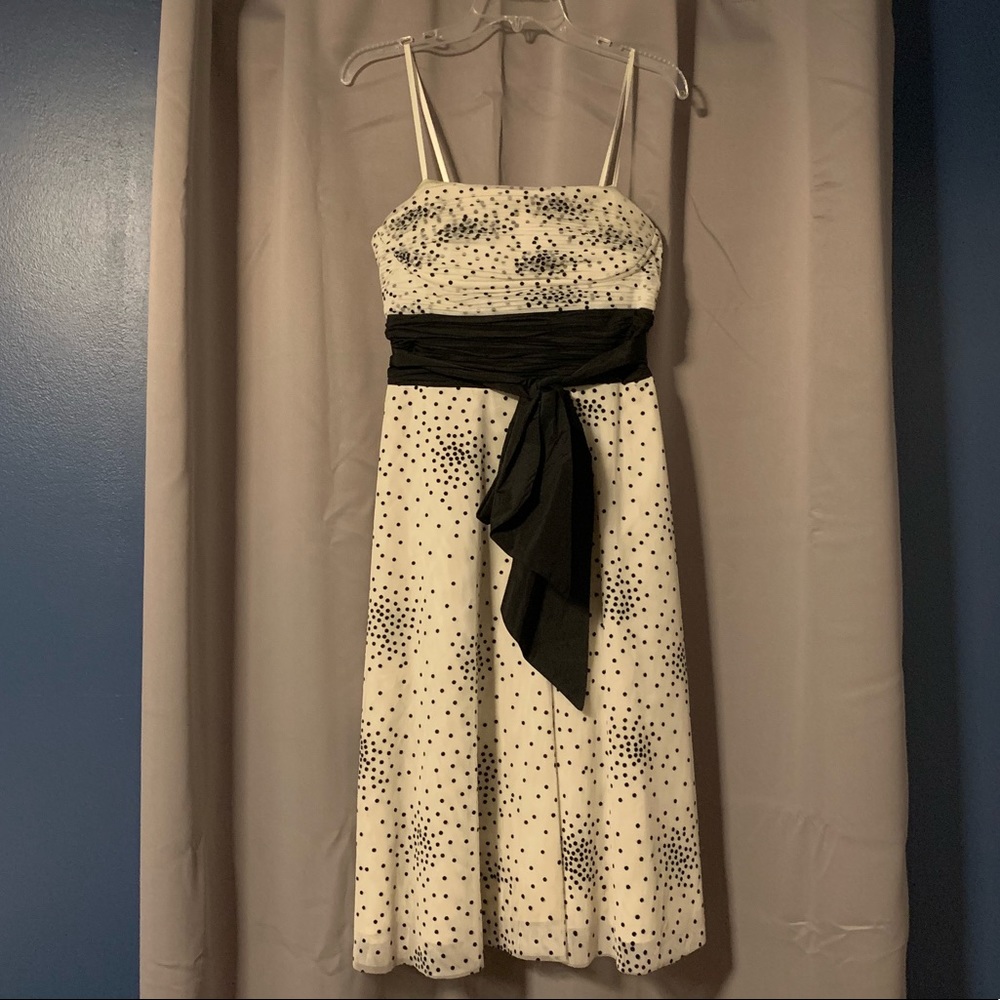 BCBGMaxAzria Pin-up retro polka-dot tulle dress